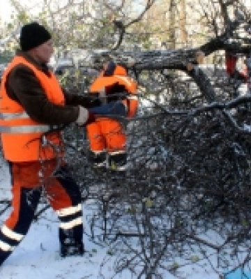 На Одещині комунальні служби ліквідують наслідки непогоди