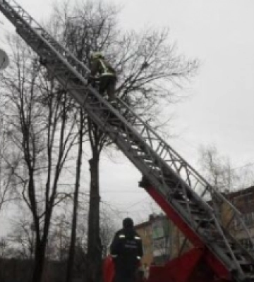 У Бродах 73-річна бабця, яка потребувала допомоги, опинилась у квартирному полоні
