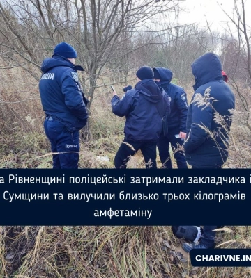 На Рівненщині у наркокур’єра виявили амфетамін на майже 2 мільйони гривень
