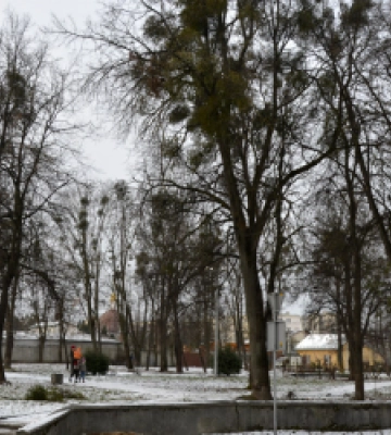 У Бродах планують створити Алею Героїв
