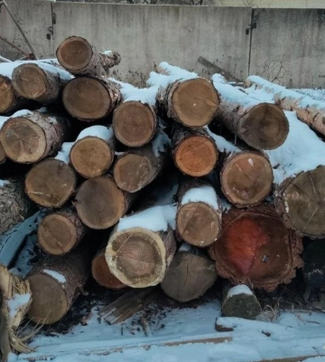 У жителя Рівненського району під час обшуку на подвір&#039;ї виявили незаконну деревину