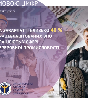 На Закарпатті 40% працевлаштованих ВПО працюють у сфері переробної промисловості