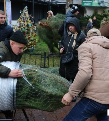 Стало відомо, коли на Кіровоградщині розпочнеться продаж новорічних ялинок Стало відомо, коли на Кіровоградщині розпочнеться продаж новорічних ялинок