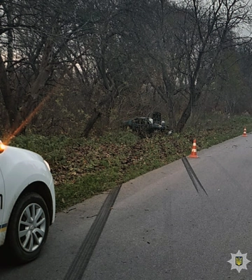 На Хмельниччині легковик вилетів на узбіччя та врізався у дерево, двоє людей у лікарні