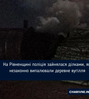 Поліція знайшла в урочищі на Березнівщині випалювачів вугілля