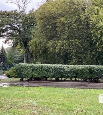 Криворіжців попереджають про сильні пориви вітру