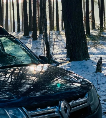 Щоденні рейди та фотопастки: на Волині лісівники борються з лісорубами-крадіями