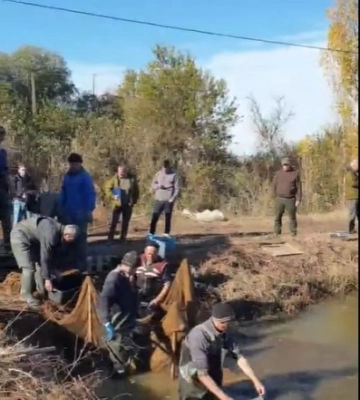 На Одещині інтенсивно зариблюють найбільші озера і лимани