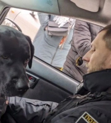 В Одесі загубився породистий собака — поліцейські розшукали власника