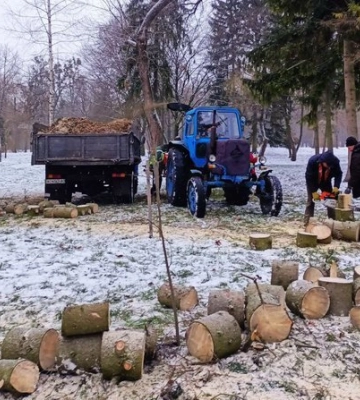 Деревину передадуть малозабезпеченим та військовим: у луцькому парку зріжуть 59 аварійних дерев
