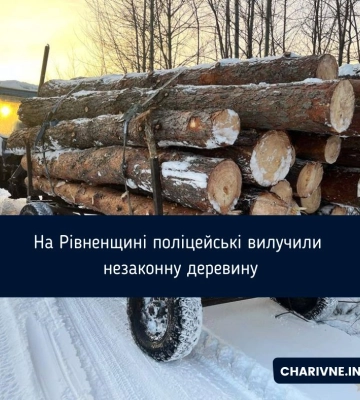 На Рівненщині поліцейські вилучили деревину без відповідного маркування
