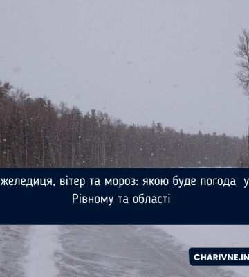 Якою на Волині буде погода в грудні