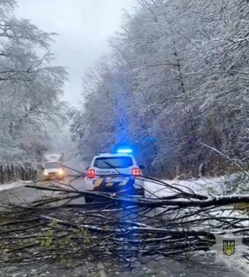 На Закарпатті стався зсув каміння та падіння дерева на трасі державного значення На Закарпатті стався зсув каміння та падіння дерева на трасі державного значення