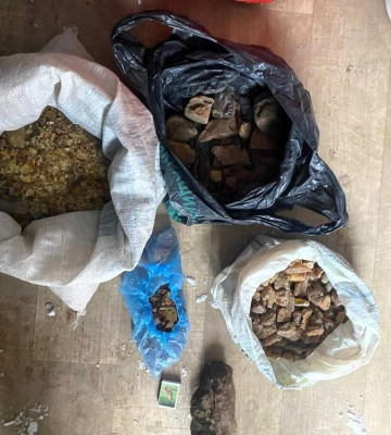 У жителя Рівненського району знайшли понад 11 кг бурштину-сирцю