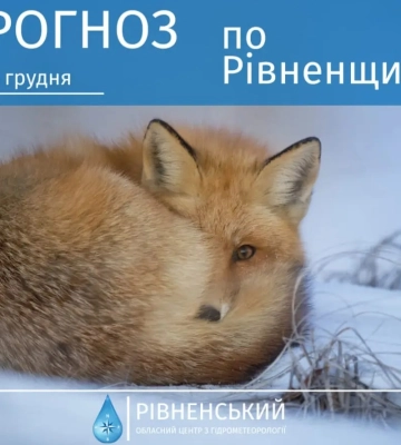 На Рівненщині очікують туман та ожеледицю