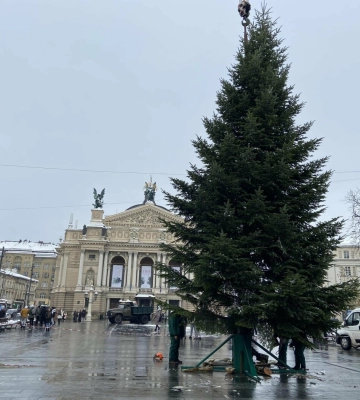 У Львові встановили головну ялинку (ВІДЕО)