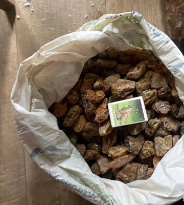 У жителя Рівненського району знайшли понад 11 кг бурштину-сирцю