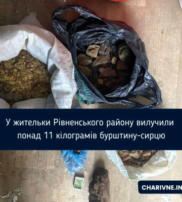 У жительки Рівненського району вилучили понад 11 кілограмів бурштину-сирцю
