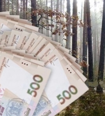 На Волині ексдиректор лісогосподарства розтратив держмайно на понад 14,7 млн грн