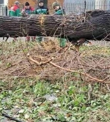 Як ліквідовували наслідки негоди у Березівській громаді