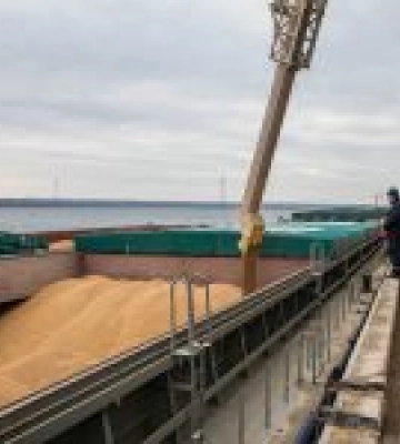Зерновим коридором вже експортовано близько 4,3 млн тонн агропродукції