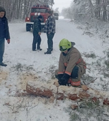 На Горохівщині дерево впало на дорогу і перекрило рух
