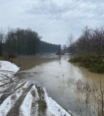 На Закарпатті піднялась вода у річках - підтоплені дороги й будинки