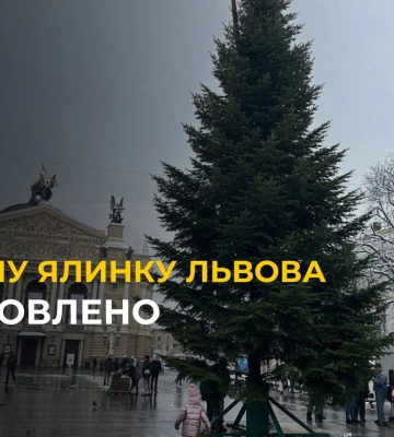 КАЗКОВА красуня! Львів отримав головну ялинку міста