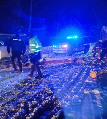 На Волині авто застрягло на поваленому негодою дереві 