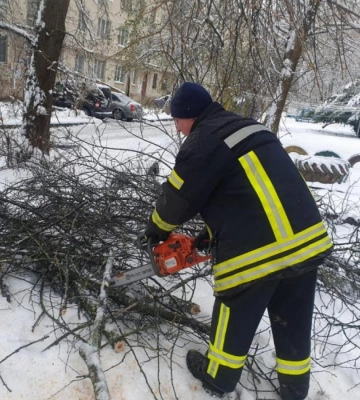 На Волині авто застрягло на поваленому негодою дереві 