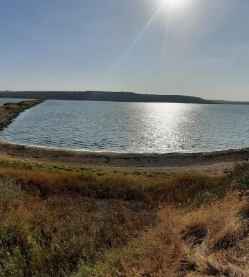 Хаджибейський лиман швидко висихає: місцями вода пішла зовсім