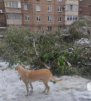 Ліквідація негоди: енергетики повернули світло у 292 населених пунктах Дніпропетровщини