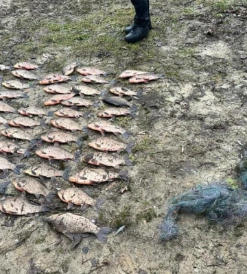 На Полтавщині двоє браконьєрів наловили риби на понад 66 тисяч гривень