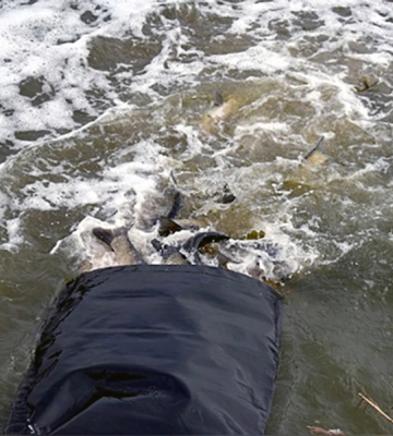 На Харківщині зариблене Печенізьке водосховище