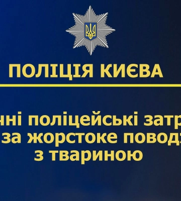 Жінка у Києві викинула двомісячне цуценя з вікна 7-го поверху, їй повідомили про підозру