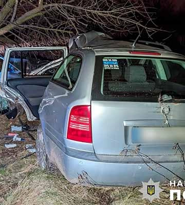 На Полтавщині автомобіль SKODA OCTAVIA влетів у дерево: водій госпіталізований