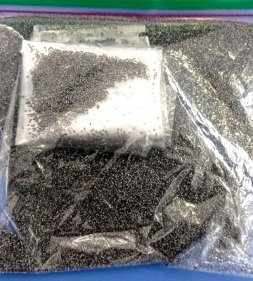 На Рівненщині викрили чоловіка на крадіжках та незаконному зберіганні тротилу та пороху