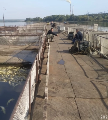 Гибель рыбы в Винницкой области: Госэкоинспекция не обнаружила превышения нормы загрязняющих веществ в Ладыжинском&amp;hellip;