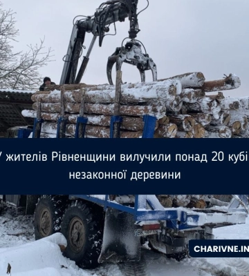 Нелегальний бурштин та деревина: на Рівненщині продовжують викривати злочини проти довкілля