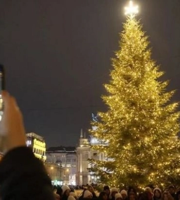 Во Львове засветили главную елку города