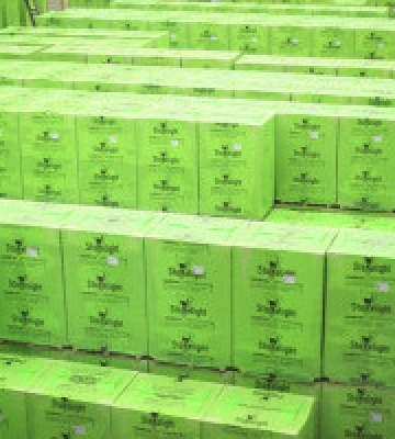 Виробник газобетону з Київщини поставив європейський рекорд за потужністю виробництва