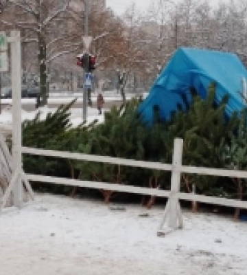 Де і за скільки в Луцьку можна придбати ялинку та прикраси до неї