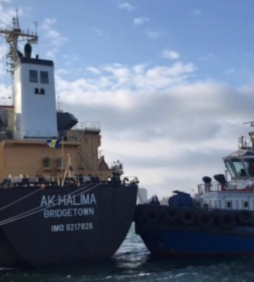 Аналітики прогнозують зростання цін на українську пшеницю у морпортах