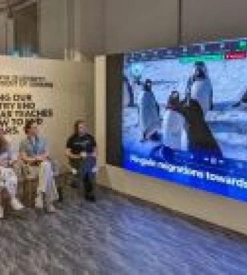 Клімат теж страждає від війни