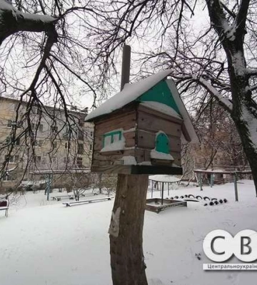 У Кропивницький завітала справжня зима (фоторепортаж)