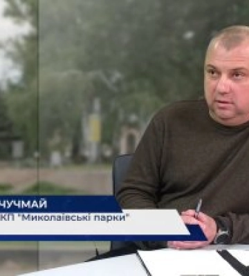 У Миколаєві оновлюють зелені насадження, небезпечний сухостой замінюють молодими деревами