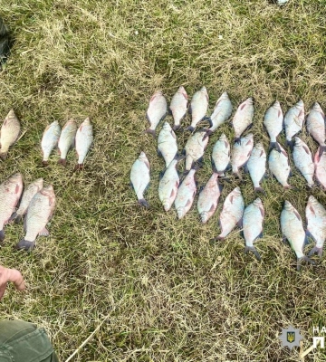 Поліцейські Одещини викрили браконьєра на озері Ялпуг