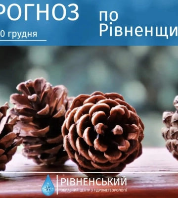 Слабкий туман і трохи мокрого снігу - про погоду на Рівненщині