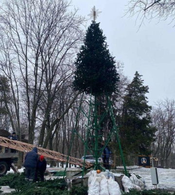 «Встановили, щоб зробити дітям свято»: у Дніпрі у парку Шевченка з&amp;#039;явилася новорічна ялинка