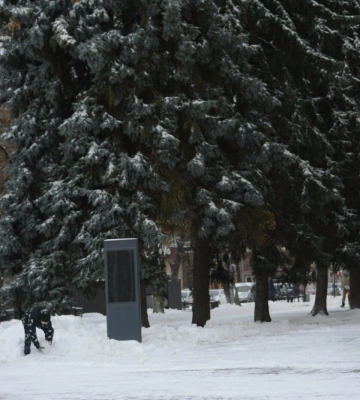 Близько 50 мітингувальників вимагали не встановлювати святкову ялинку в Полтаві